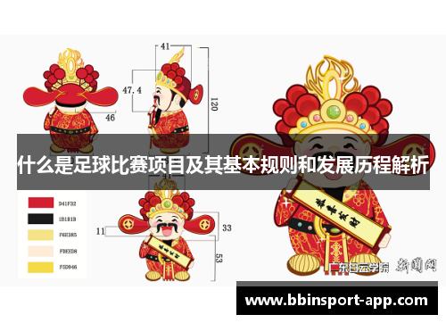 什么是足球比赛项目及其基本规则和发展历程解析